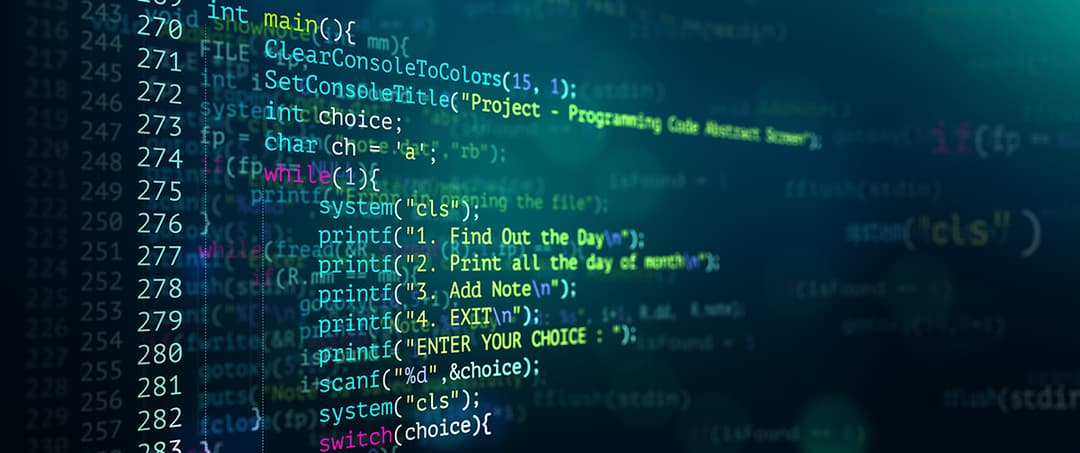 Web & Software Development